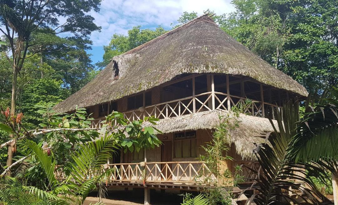 Shipati Lodge Puerto Misahuallí Kültér fotó